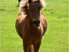Bild 16