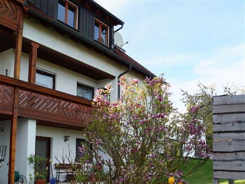 Ferielejlighed - 4 personer -  - Doederleinstraße - 91550 - Dinkelsbühl