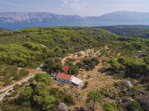 Sommerhus - 4 personer -  - Nakal bb - Brac-Pucisca - 21412 - Pucisca