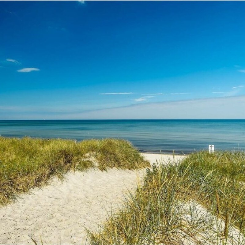 Sommerhus - 4 personer -  - 18146 - Rostock - Markgrafenheide