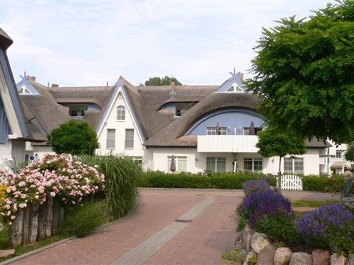 Ferielejlighed - 4 personer -  - 18374 - Zingst