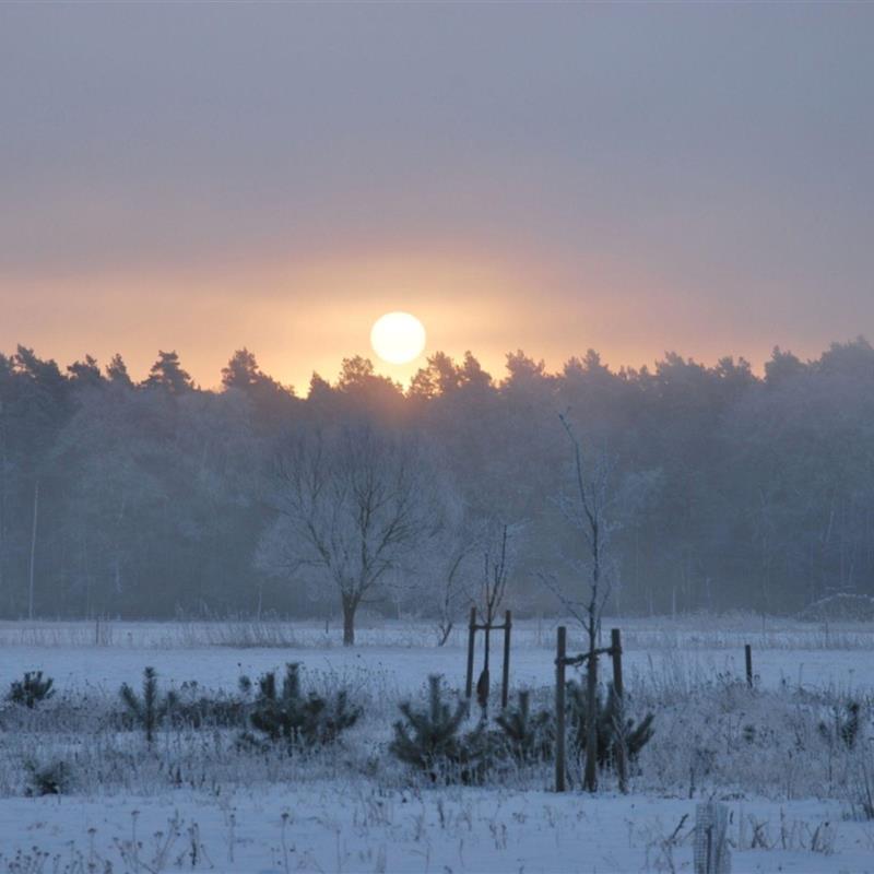 Sommerhus - 10 personer -  - Strandweg - 17373 - Ueckermünde