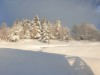 Bild 51