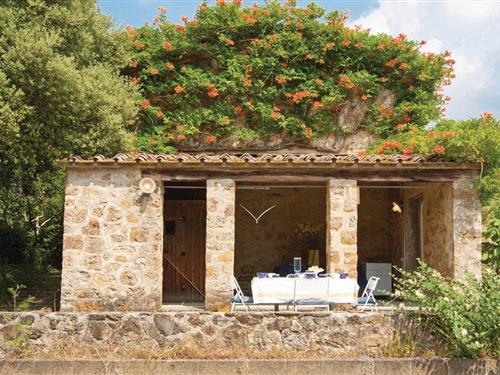 Sommerhus - 4 personer -  - Podere Poggiale - La Leccia - La Leccia - 56041 - La Leccia (Pi)