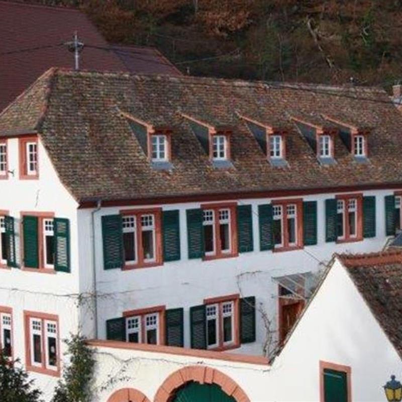 Ferielejlighed - 4 personer -  - Hirschhornring - 67435 - Neustadt An Der Weinstraß