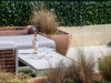 Billede 342