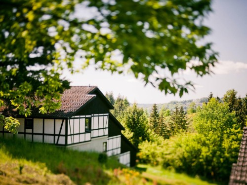 Sommerhus - 7 personer -  - Im Grafenwald - 54550 - Daun