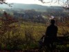 Bild 22