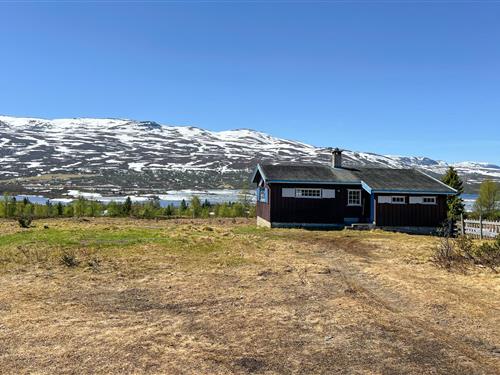 Feriehus / leilighet - 8 personer -  - Kviisyndin - Valdres - 2973 - Ryfoss