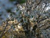 Image 110