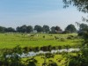 Bild 20