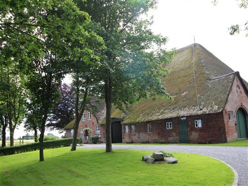 Ferieleilighet - 6 personer -  - Kaltenhörner Deich - 25882 - Tetenbüll