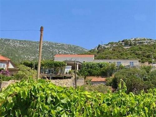 Ferielejlighed - 4 personer -  - Postup - 20250 - Orebic