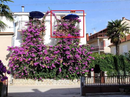 Holiday Home/Apartment - 2 persons -  - Ulica Ante Kovacica - 23210 - Biograd