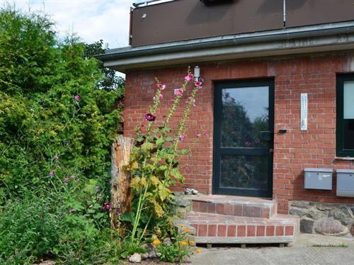 Sommerhus - 2 personer -  - 18573 - Altefähr