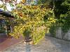 Bild 28