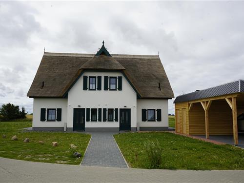 Ferienhaus - 4 Personen -  - An den Feldern 12 a - 18569 - Trent