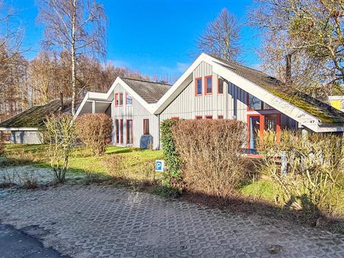 Sommerhus - 6 personer -  - Walter-Gotsmann Strasse - 17252 - Mirow