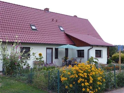 Ferielejlighed - 2 personer -  - Mooskoppel - 17258 - Feldberger Seenlandschaft