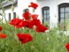 Bild 31