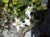 Bilde 6