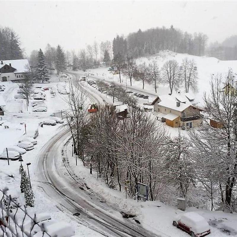 Ferielejlighed - 3 personer -  - Geyersberg 29 App. L - 94078 - Freyung