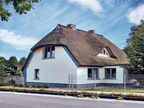 Ferielejlighed - 5 personer -  - Dorfstraße - 18356 - Fuhlendorf - Ostsee