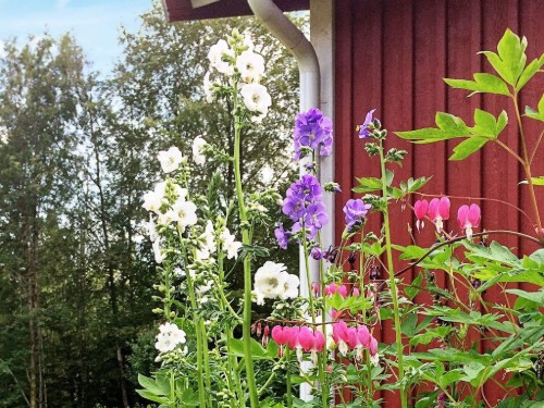  - 4 personer -  - Ögardet - 31496 - Torup