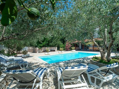 Holiday home - 12 persons -  - 23205 - Bibinje