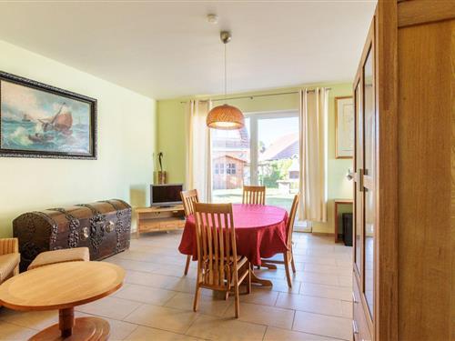 Feriehus - 5 personer -  - Schulstrasse - 18374 - Zingst (Ostseeheilbad)