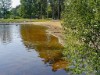Bilde 4