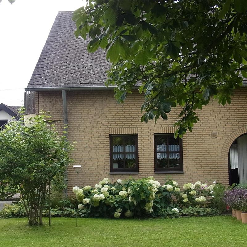 Ferielejlighed - 2 personer -  - Adolf-Kolping-Straße - 54338 - Schweich