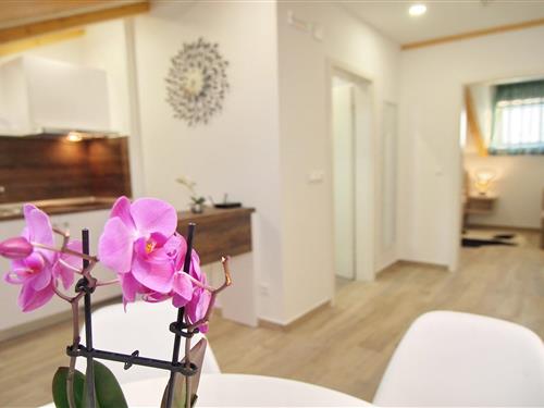 Ferielejlighed - 2 personer -  - 20000 - Dubrovnik