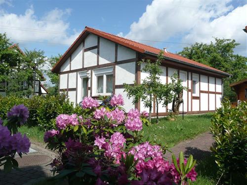 Ferienhaus - 5 Personen -  - Feriendorf Altes Land - 21723 - Hollern-Twielenfleth