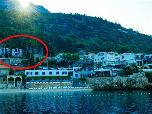 Holiday apartment - 3 persons -  - Drašnice - 21328 - Drasnice