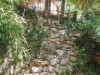 Image 23