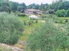 Bild 30 - Ude