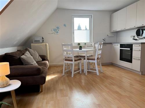 Ferielejlighed - 3 personer -  - Zum Forsthof - 18311 - Ribnitz-Damgarten Ot Hirs