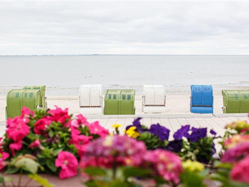 Ferienwohnung - 4 Personen -  - Sandwall - 25938 - Wyk