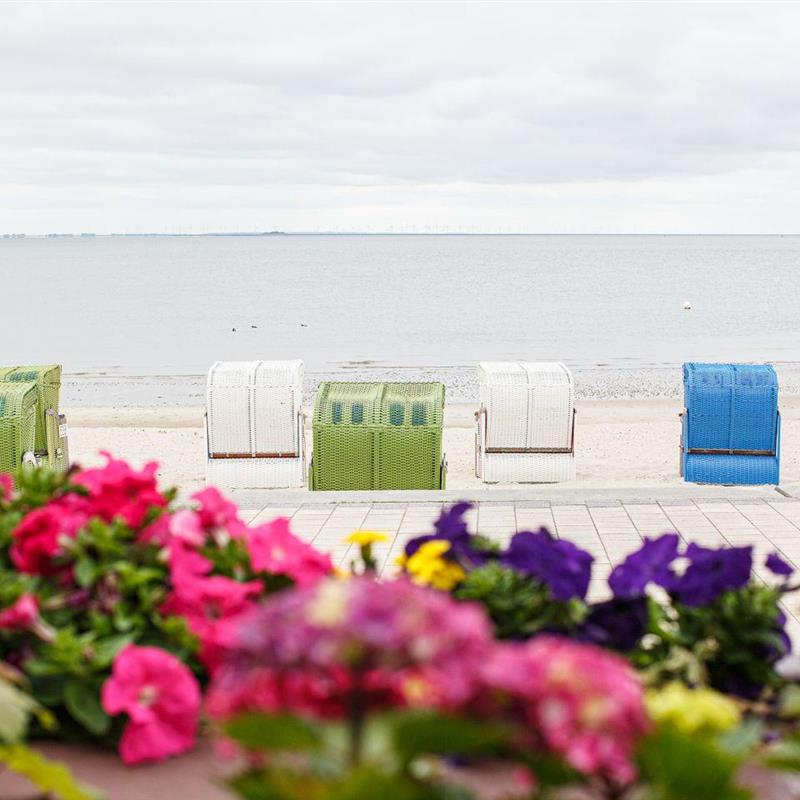 Ferielejlighed - 4 personer -  - Sandwall - 25938 - Wyk