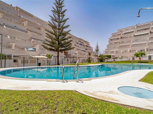 Holiday apartment - 5 persons -  - Av. de Ros. Ferrer - 04740 - Roquetas De Mar