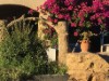 Image 13