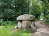 Bild 22