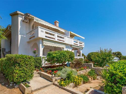 Ferieleilighet - 5 personer -  - Potocnica - Pag-Potocnica - 53291 - Potocnica