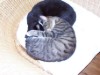 Bild 18