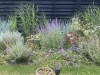 Bild 17