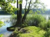 Bild 18