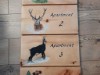 Bild 22