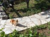Bild 14
