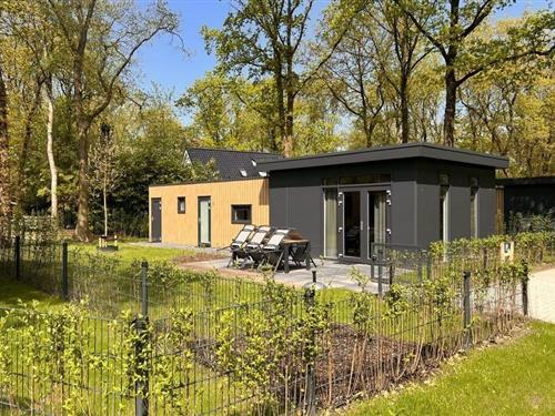 Ferienhaus - 6 Personen -  - 8437 PE - Zorgvlied